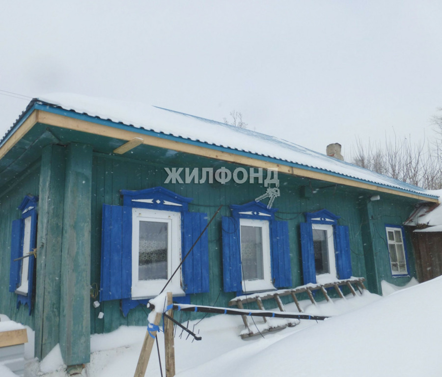 Сокур новосибирск. Село Сокур Новосибирская область. Сокур Мошковский район Новосибирская область. Сокур улица рабочая. Керимовский Сокур.